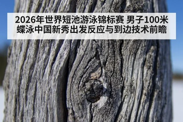2026年世界短池游泳锦标赛 男子100米蝶泳中国新秀出发反应与到边技术前瞻