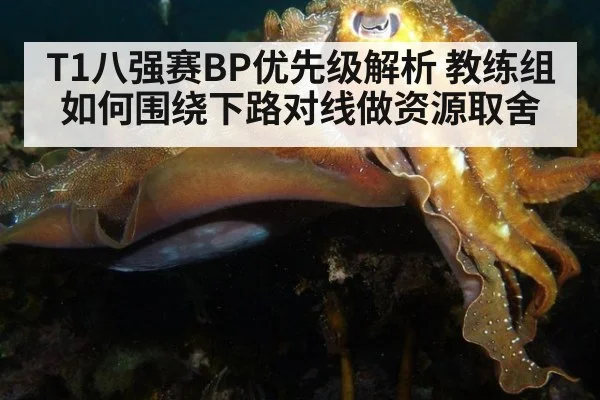 T1八强赛BP优先级解析 教练组如何围绕下路对线做资源取舍